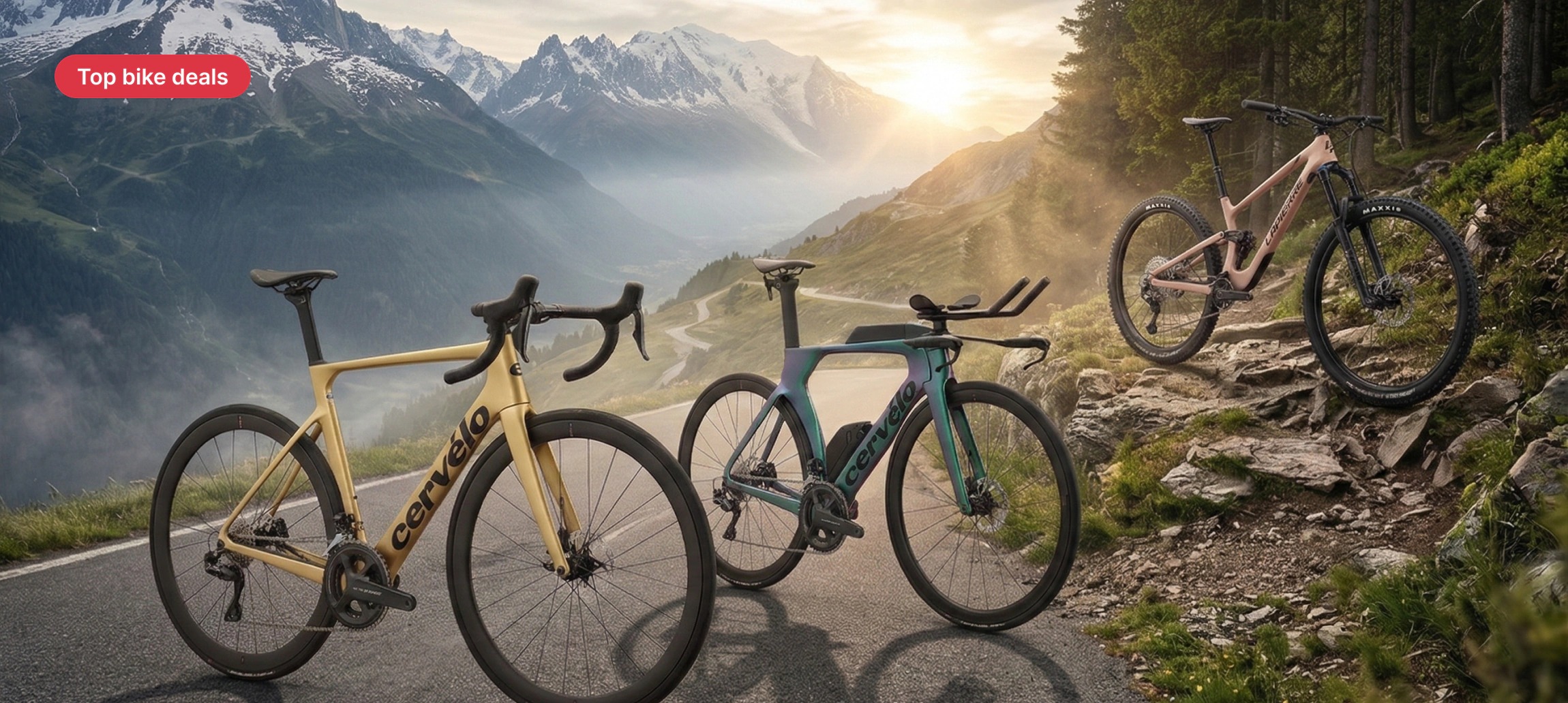 alltricks.de - Bestselling Cycles