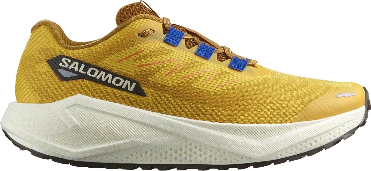 Zapatilla de gravel Salomon Aero Blaze GRVL
