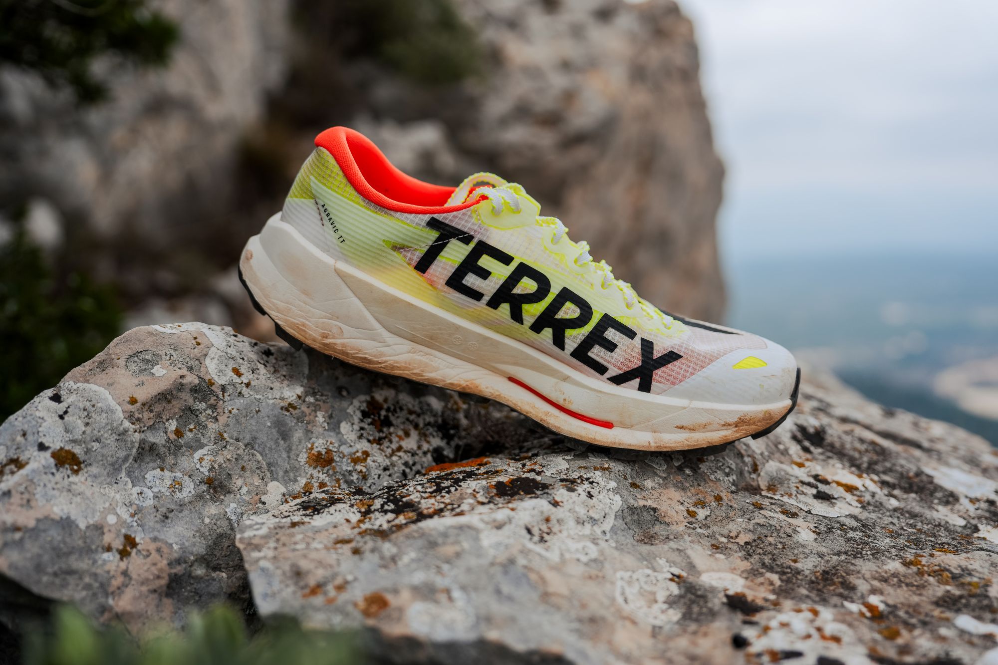 Adidas Terrex Agravic TT side view