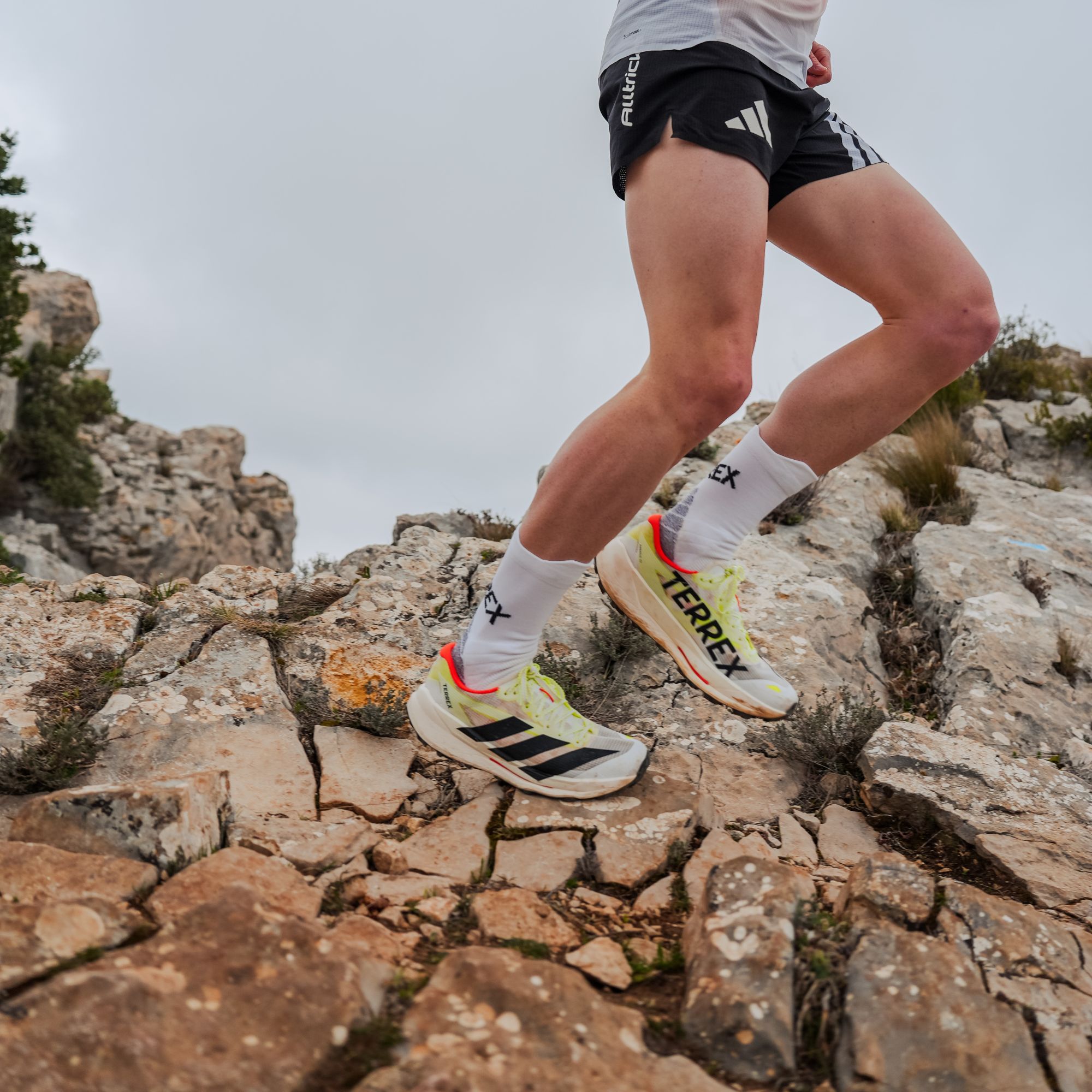Adidas Terrex Agravic TT in technical trail running