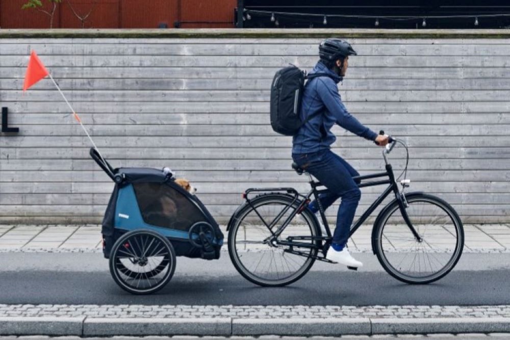 Thule bike trailer for animals